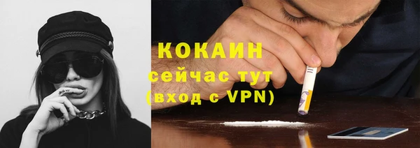 твердый Коряжма