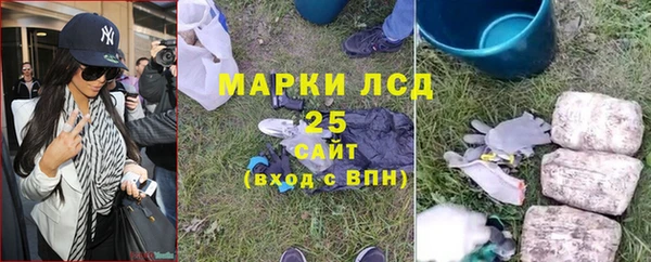 твердый Коряжма