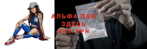 твердый Коряжма