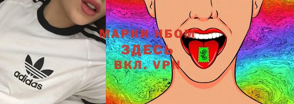 твердый Коряжма