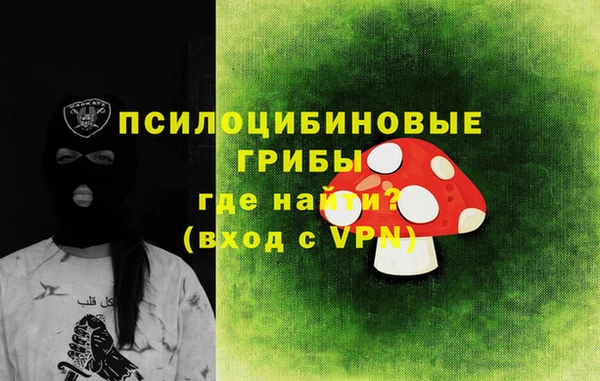 твердый Коряжма