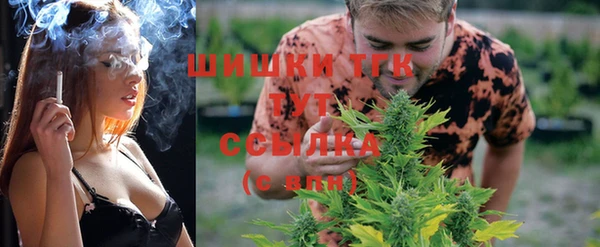 твердый Коряжма