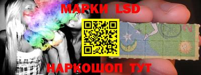 индика Гатчина