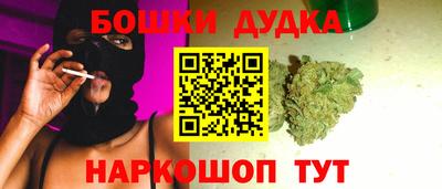 индика Гатчина