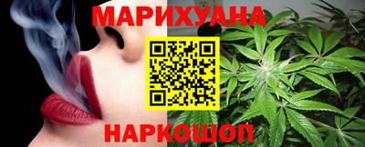 индика Гатчина