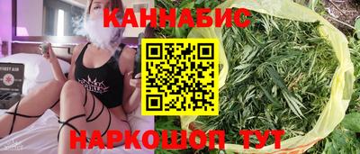 индика Гатчина