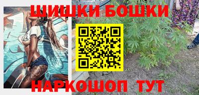 индика Гатчина