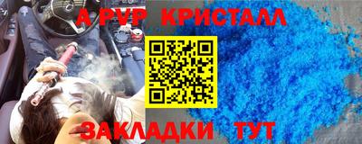 индика Гатчина