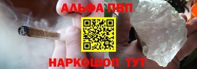 индика Гатчина