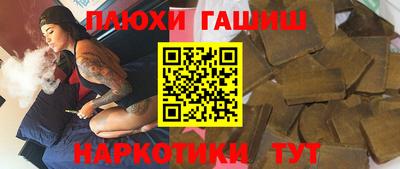индика Гатчина