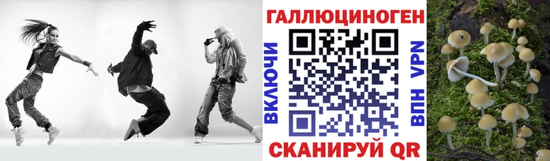 Псилоцибиновые грибы MAGIC MUSHROOMS Нальчик