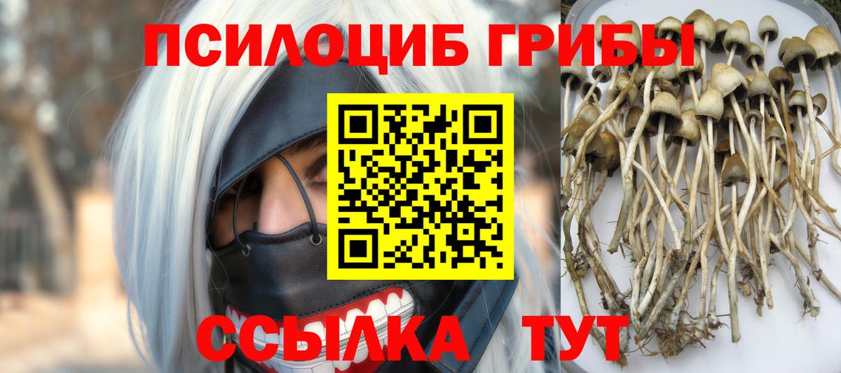 Нальчик  Псилоцибиновые грибы MAGIC MUSHROOMS  Вход с VPN  Галлюциногенные грибы мицелий 